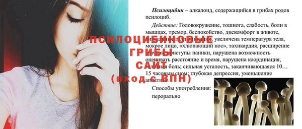 мяу мяу кристалл Покачи