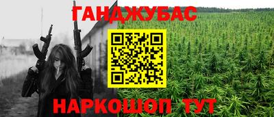 apvp Партизанск